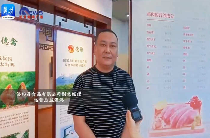河北廣播電視臺(tái)冀時(shí)客戶端：老字號(hào) 新國(guó)潮 | 百年金鳳振翅飛：一只扒雞的守正創(chuàng)新路